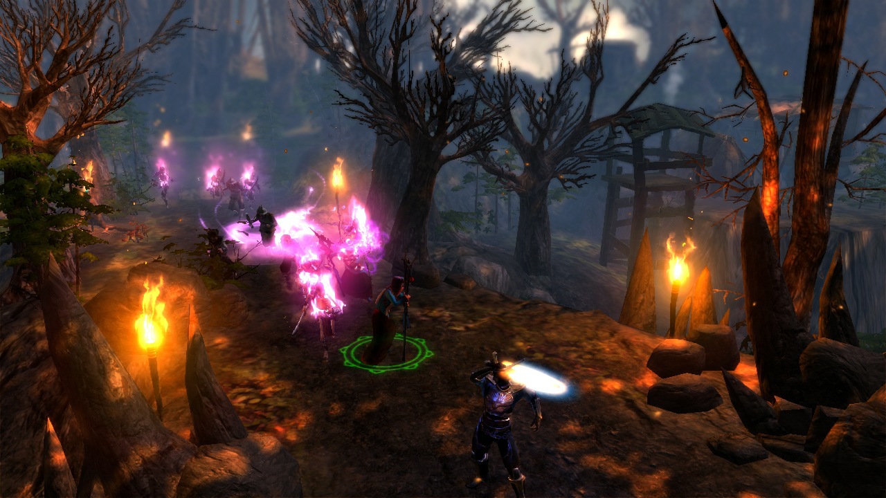 Dungeon Siege III - Imagen 36
